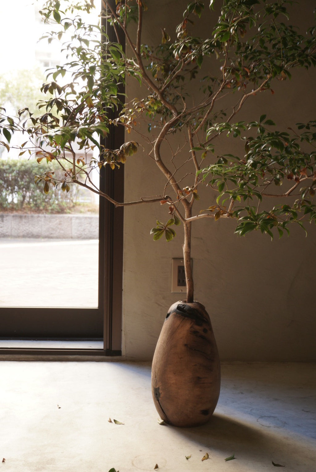 [Vase] Black persimmon Wood Vase　クロガキ